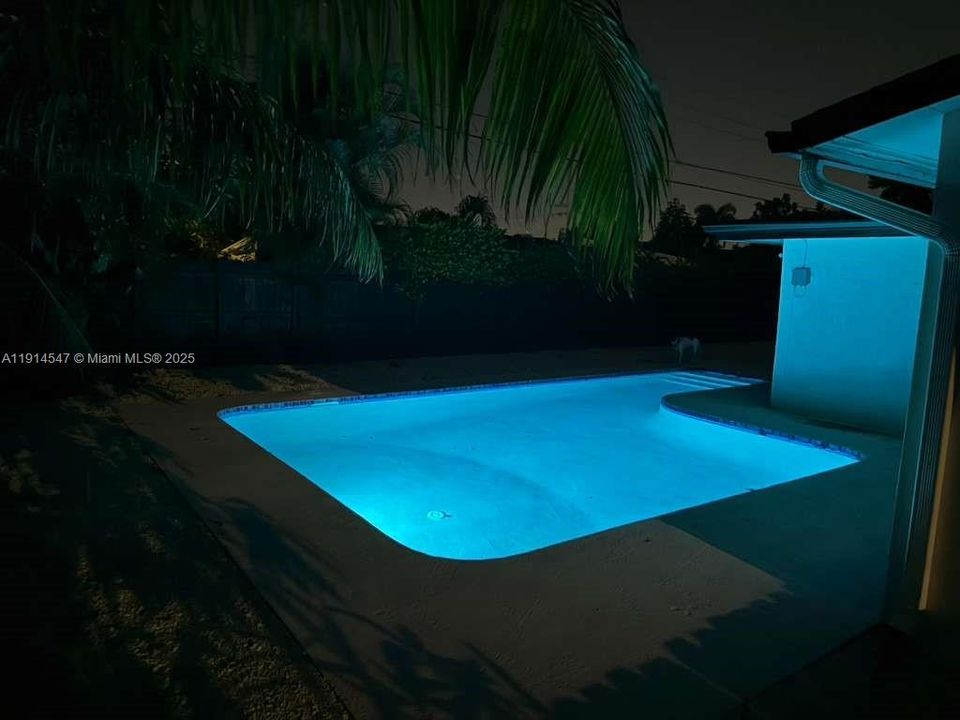 出租: $4,200 (3 贝兹, 2 浴室, 1431 平方英尺)