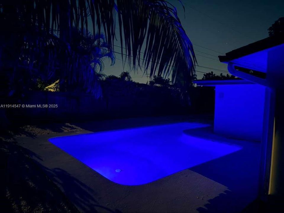 出租: $4,200 (3 贝兹, 2 浴室, 1431 平方英尺)