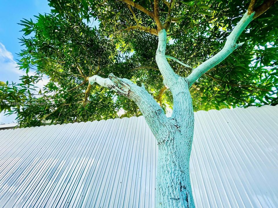 For Sale: $899,900 (5 beds, 3 baths, 2246 Square Feet)