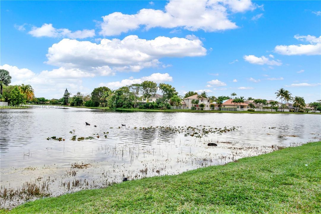 For Rent: $2,900 (2 beds, 2 baths, 1131 Square Feet)