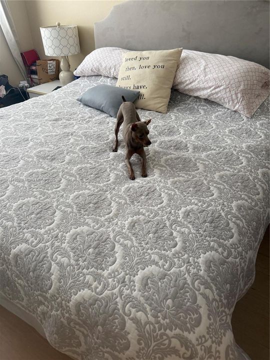 Recently Rented: $2,400 (1 beds, 1 baths, 870 Square Feet)