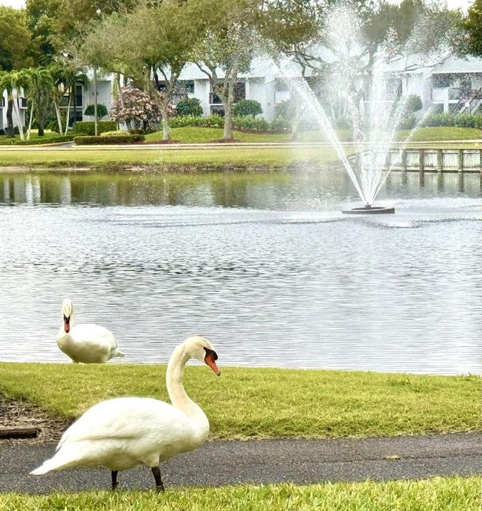 Beautiful wildlife