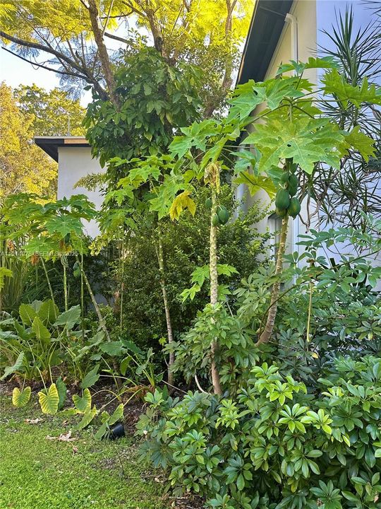 En Renta: $2,400 (2 camas, 1 baños, 800 Pies cuadrados)