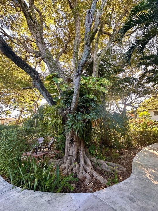 En Renta: $2,400 (2 camas, 1 baños, 800 Pies cuadrados)