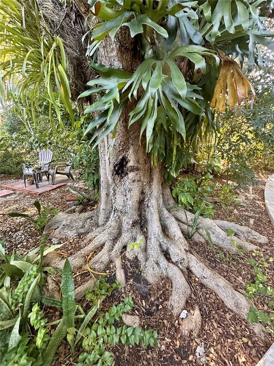 En Renta: $2,400 (2 camas, 1 baños, 800 Pies cuadrados)