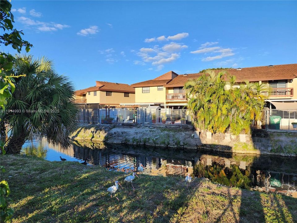 Activo con contrato: $2,750 (3 camas, 2 baños, 1150 Pies cuadrados)