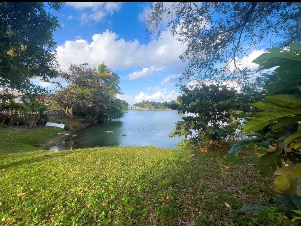 En Renta: $3,200 (3 camas, 2 baños, 1231 Pies cuadrados)