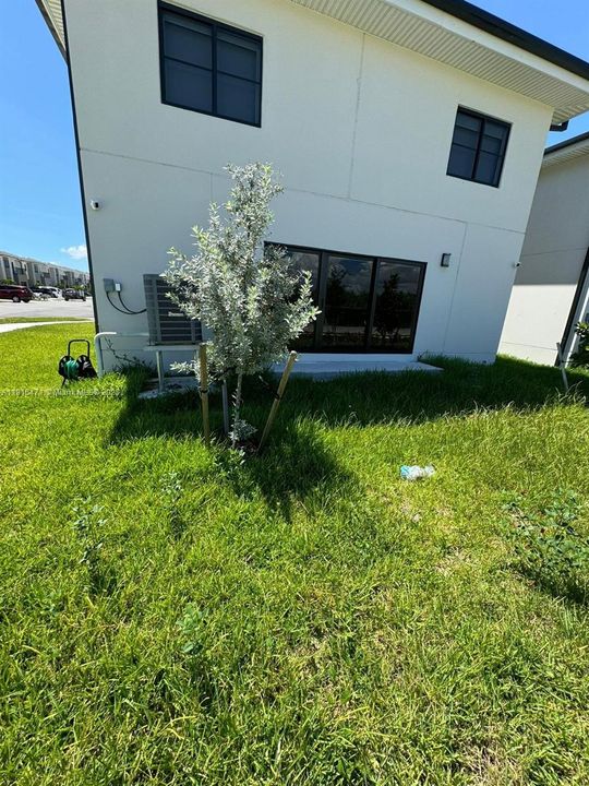 出租: $5,000 (5 贝兹, 3 浴室, 1810 平方英尺)