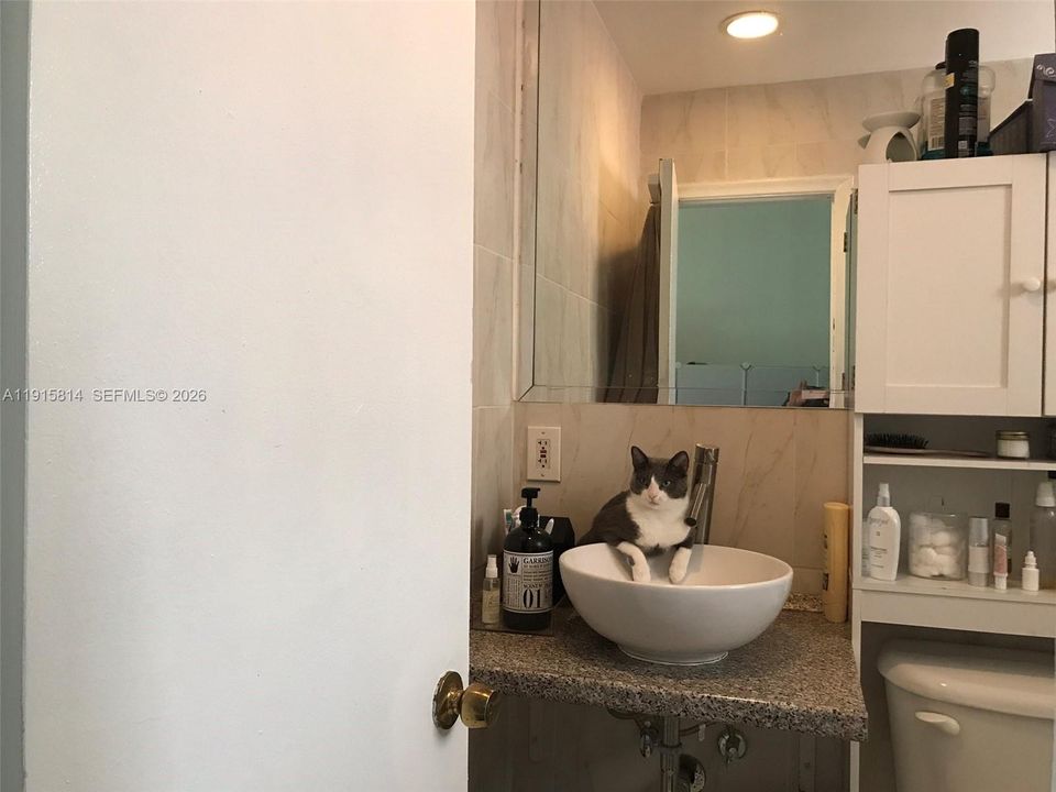 出租: $1,700 (1 贝兹, 1 浴室, 576 平方英尺)