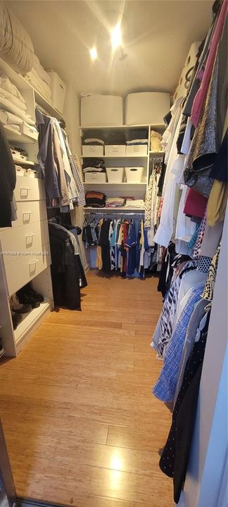 Master Bedroom - Walk in closet