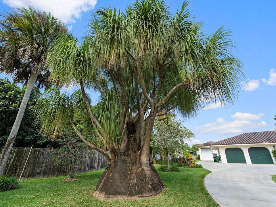 For Sale: $939,990 (3 beds, 2 baths, 2804 Square Feet)