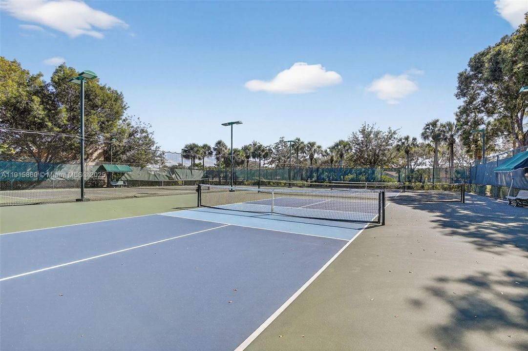 Pickleball court