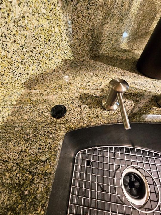 Designer Sink w Disposal