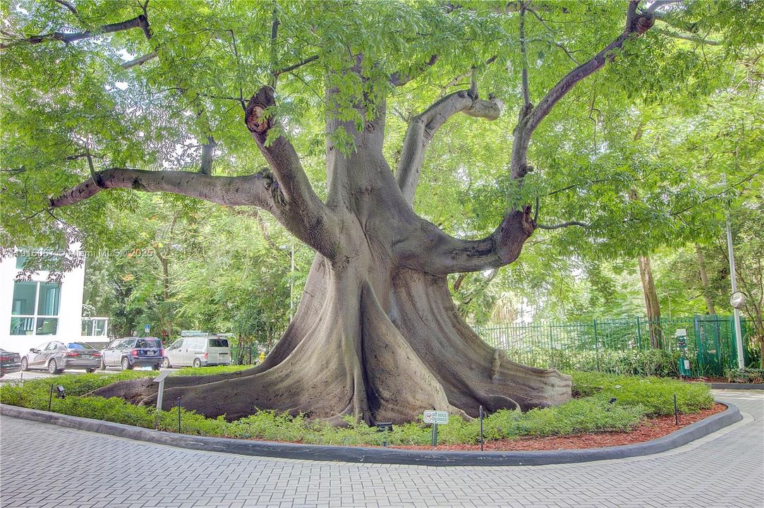 For Rent: $2,450 (1 beds, 1 baths, 637 Square Feet)