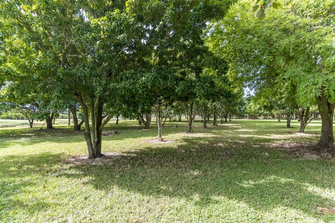 En Venta: $1,250,000 (5 camas, 3 baños, 4844 Pies cuadrados)