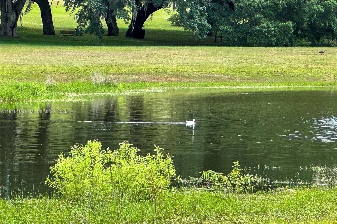 En Venta: $219,000 (3 camas, 2 baños, 1130 Pies cuadrados)