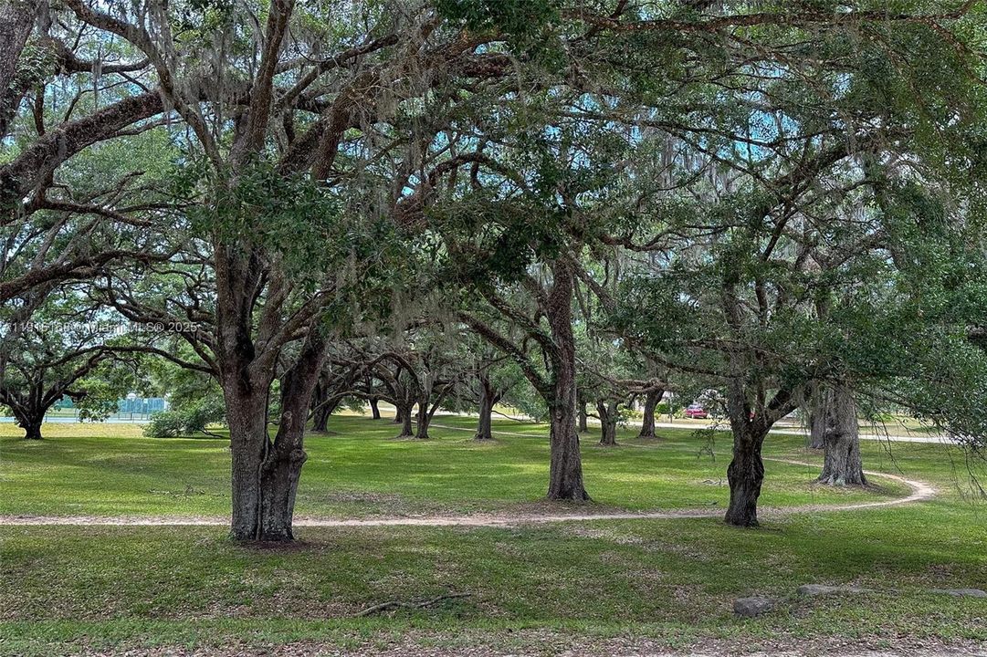 En Venta: $219,000 (3 camas, 2 baños, 1130 Pies cuadrados)