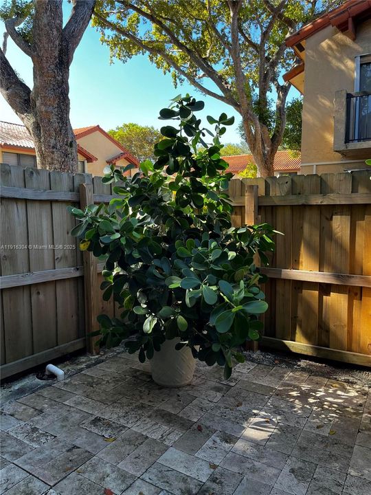 For Sale: $518,777 (2 beds, 2 baths, 1152 Square Feet)