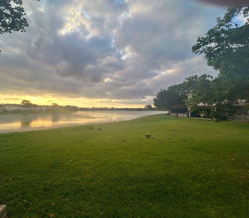 Beautiful Lake view sunsets