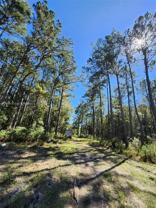 待售: $390,000 (3.70 acres)