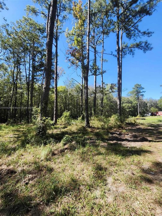 待售: $390,000 (3.70 acres)