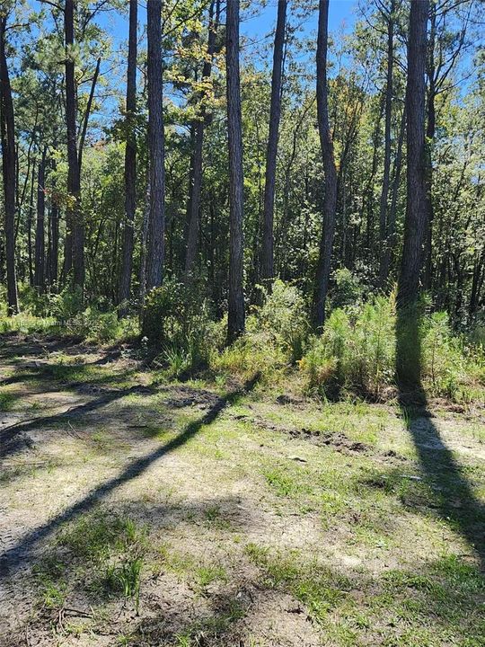 待售: $390,000 (3.70 acres)