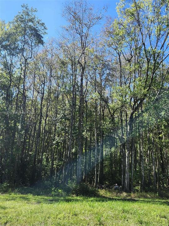 待售: $390,000 (3.70 acres)