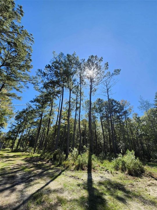 待售: $390,000 (3.70 acres)