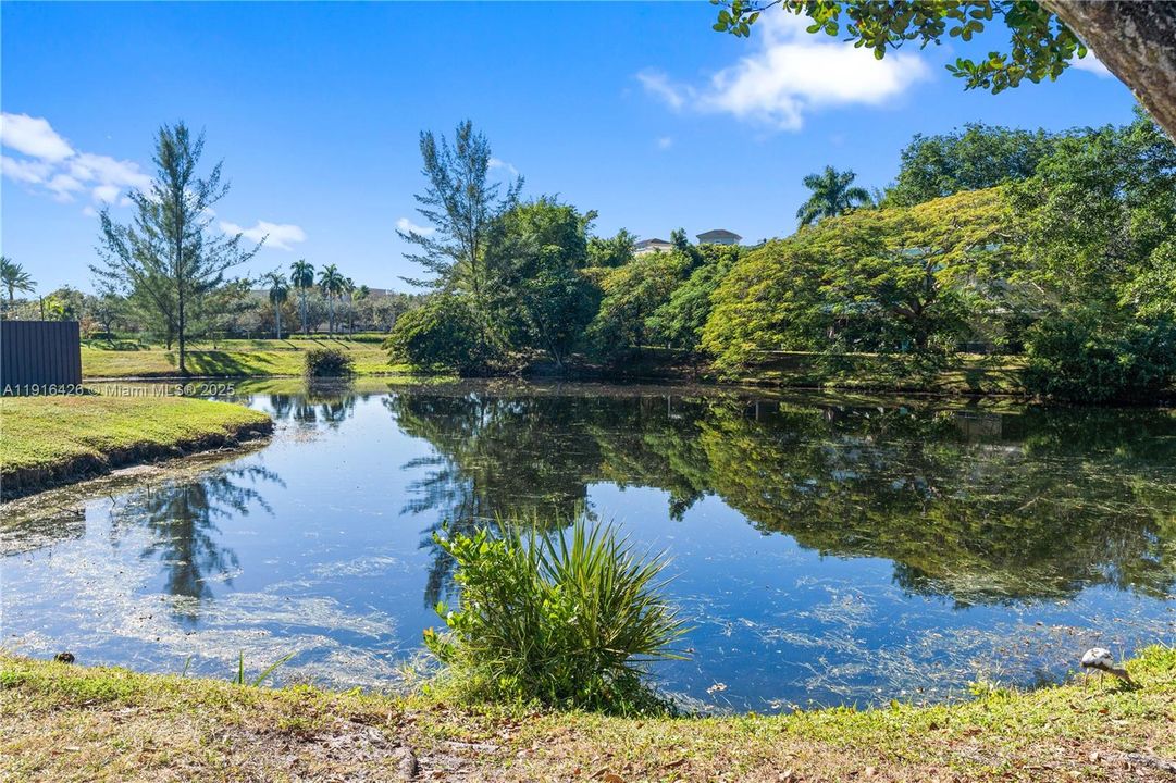 Под контрактом: $310,000 (2 спален, 2 ванн, 1756 Квадратных фут)