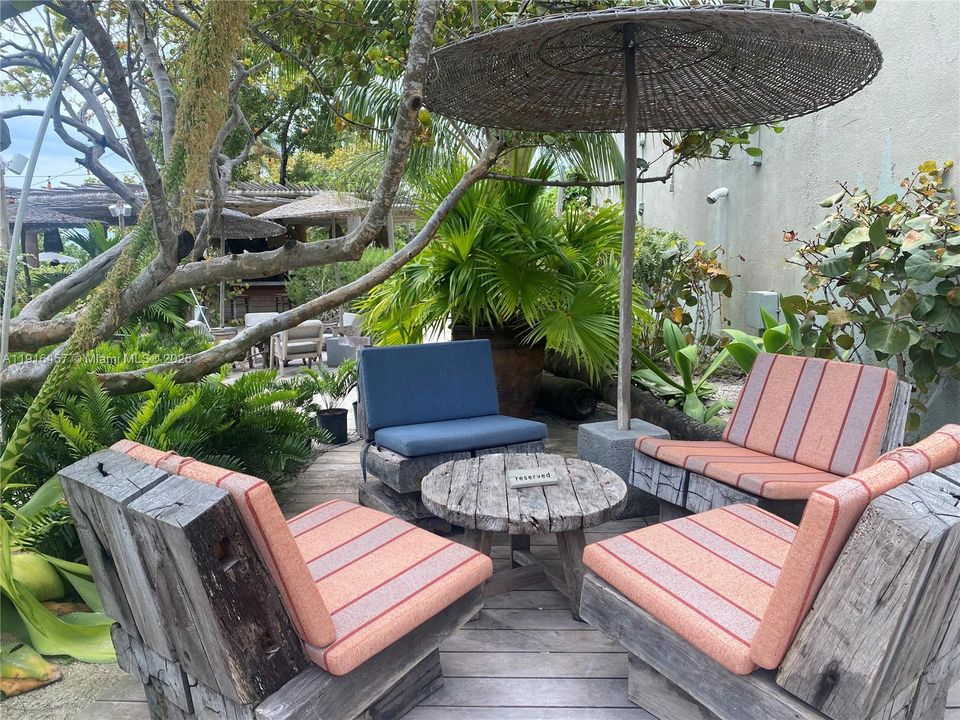 Back yard Tulum style