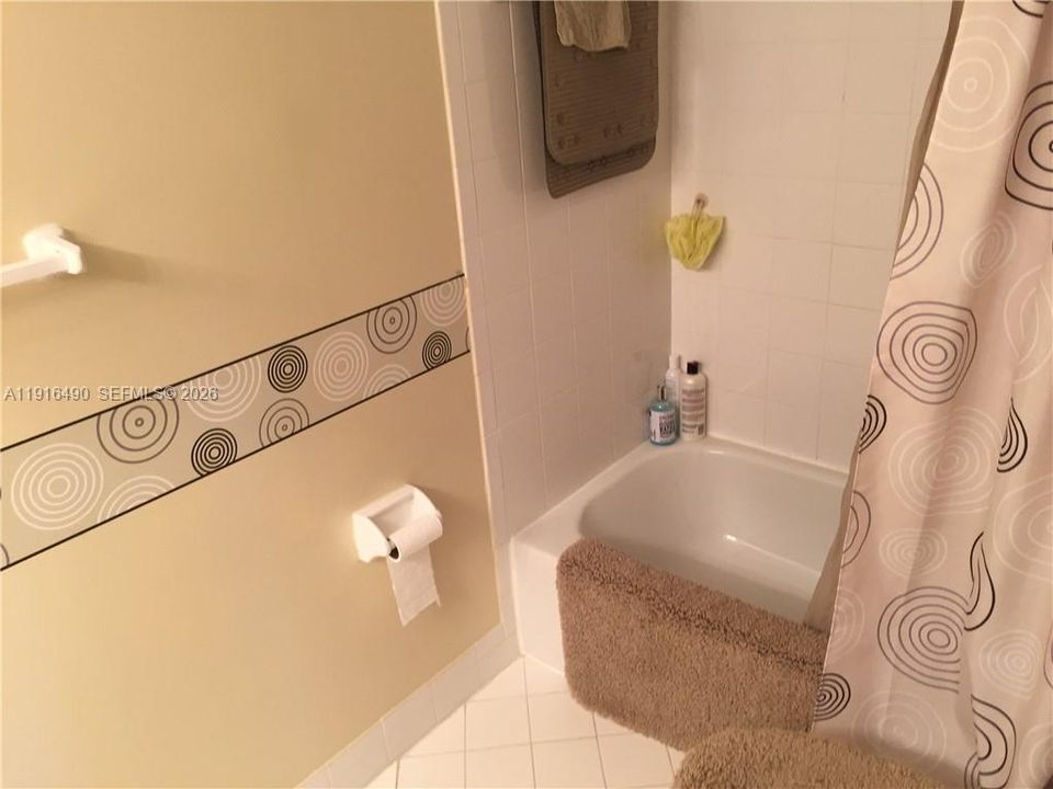 Main Bathroom