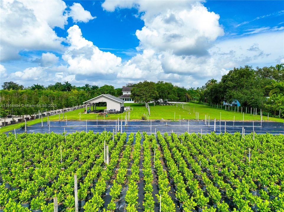 待售: $1,500,000 (7 贝兹, 4 浴室, 3294 平方英尺)