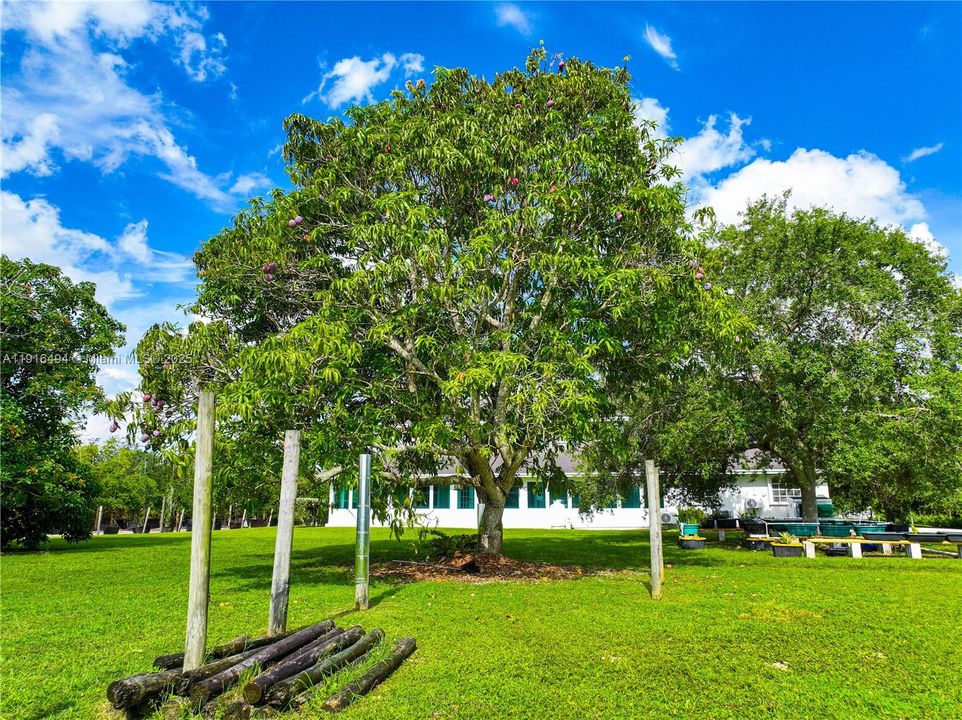 待售: $1,500,000 (7 贝兹, 4 浴室, 3294 平方英尺)