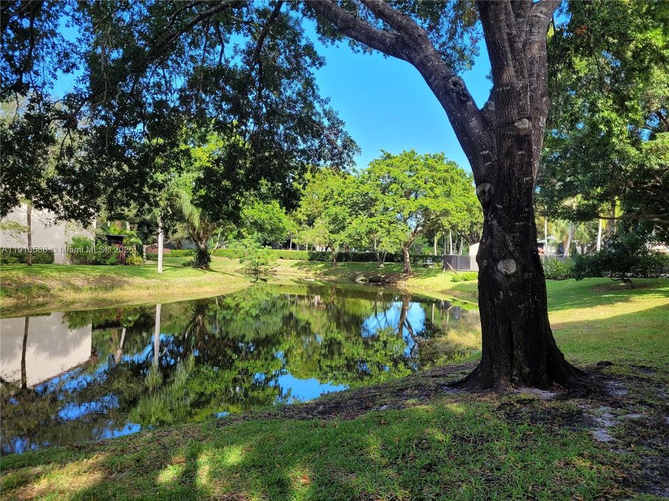 For Rent: $2,800 (3 beds, 2 baths, 1120 Square Feet)