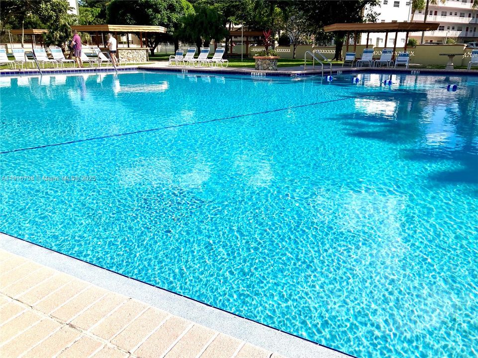 Delicious, refreshing, & spacious pool!