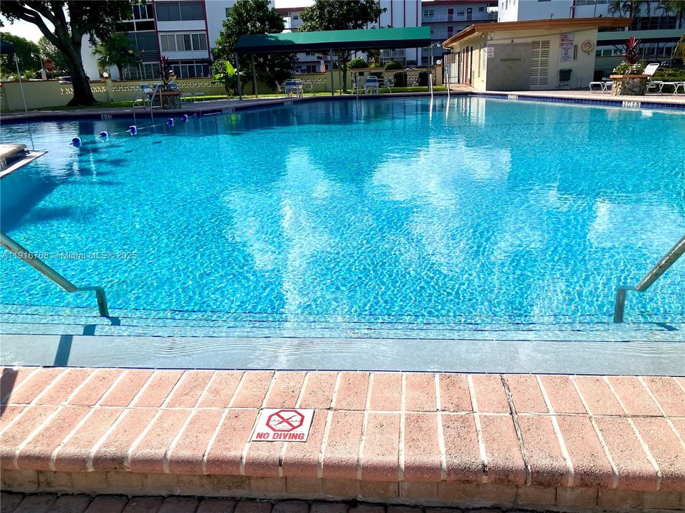 Delicious, refreshing,  & spacious pool!