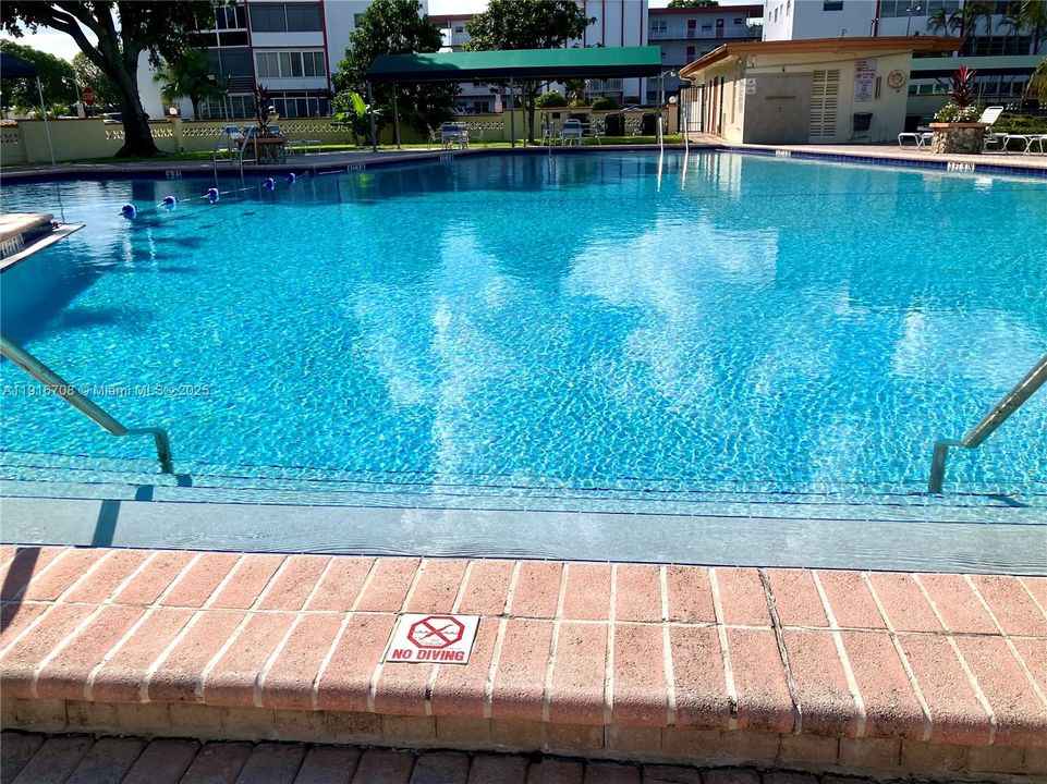 Delicious, refreshing, & spacious pool!