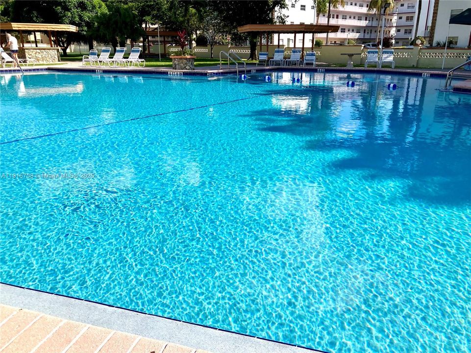 Delicious, refreshing,  & spacious pool!