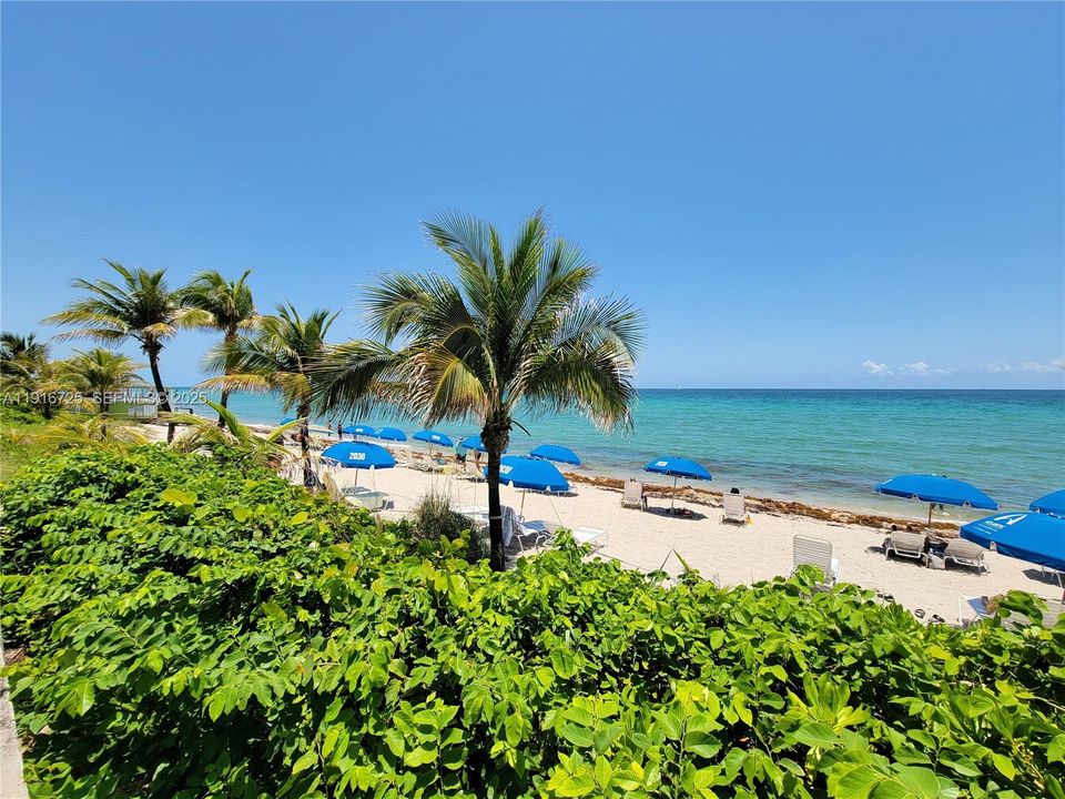 Recently Rented: $4,800 (2 beds, 2 baths, 1312 Square Feet)