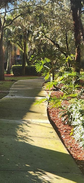 待售: $450,000 (2 贝兹, 2 浴室, 1131 平方英尺)