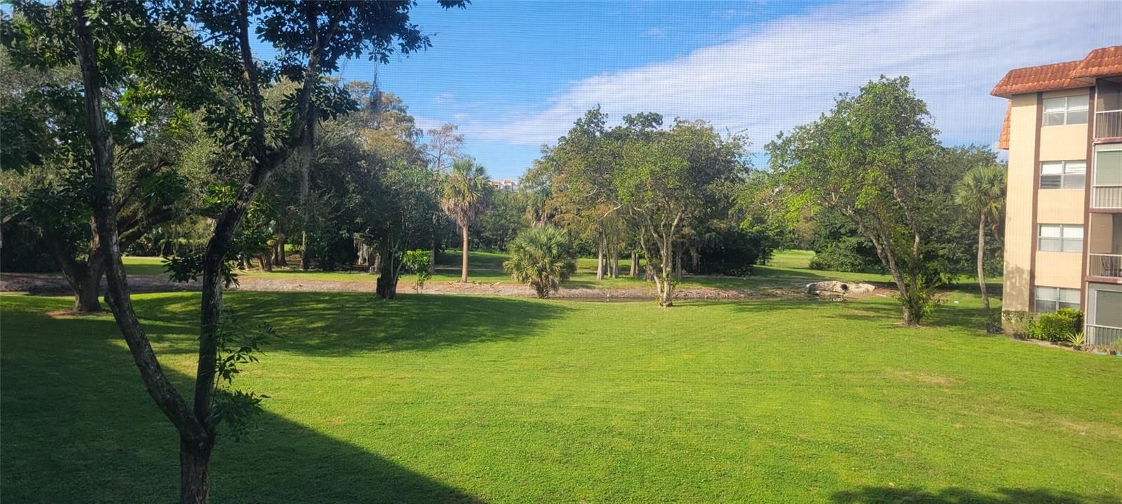 View from screened in patio area