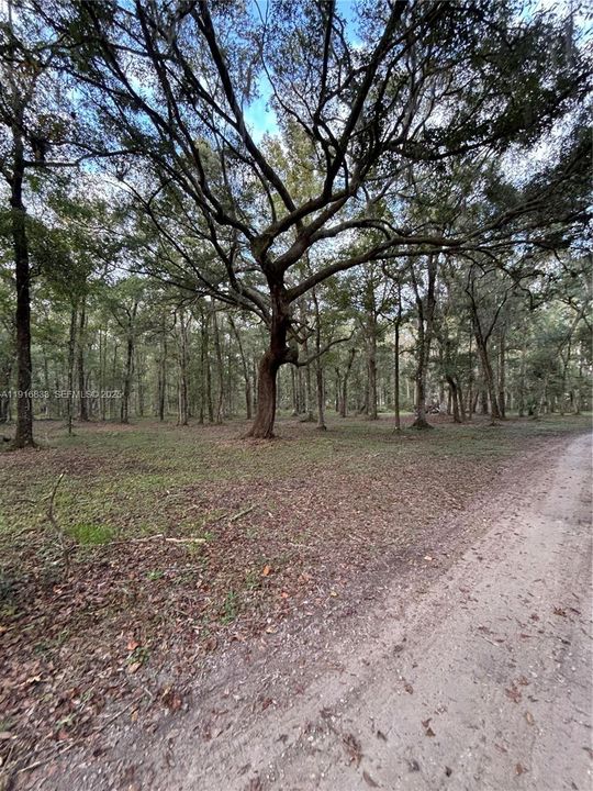 For Sale: $1,250,000 (2 beds, 1 baths, 0 Square Feet)