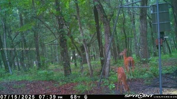 For Sale: $1,250,000 (2 beds, 1 baths, 0 Square Feet)