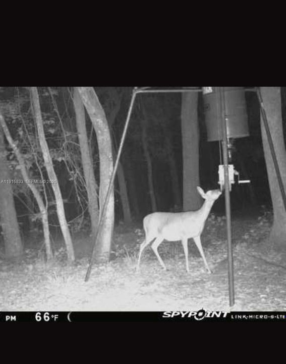 For Sale: $1,250,000 (2 beds, 1 baths, 0 Square Feet)