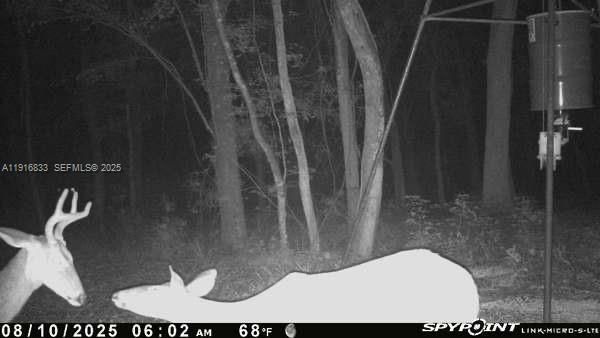 For Sale: $1,250,000 (2 beds, 1 baths, 0 Square Feet)