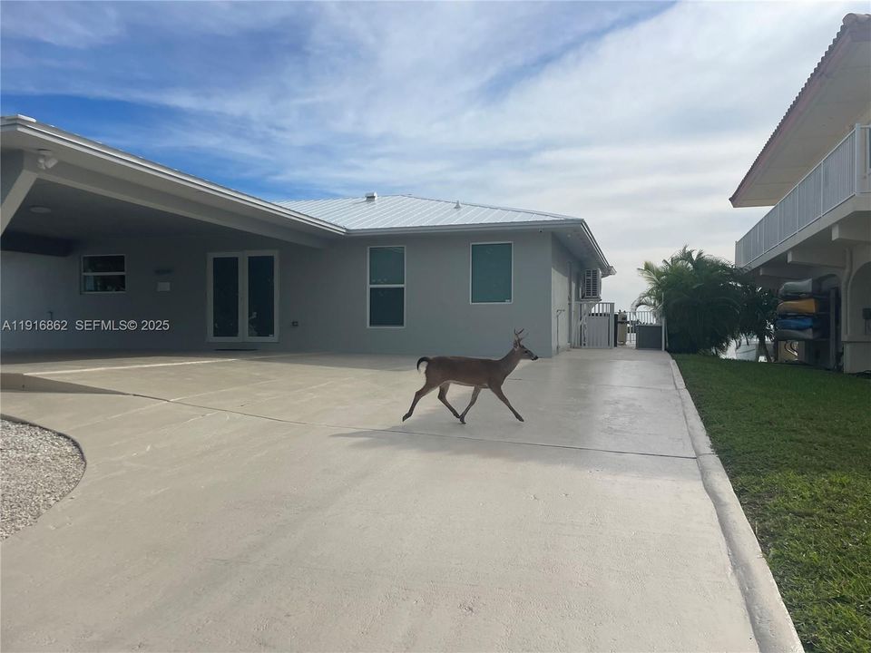 For Sale: $2,069,000 (3 beds, 2 baths, 1849 Square Feet)