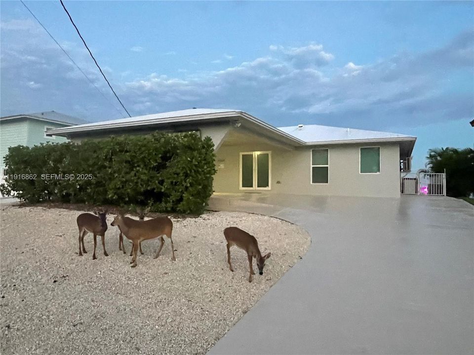 For Sale: $2,069,000 (3 beds, 2 baths, 1849 Square Feet)