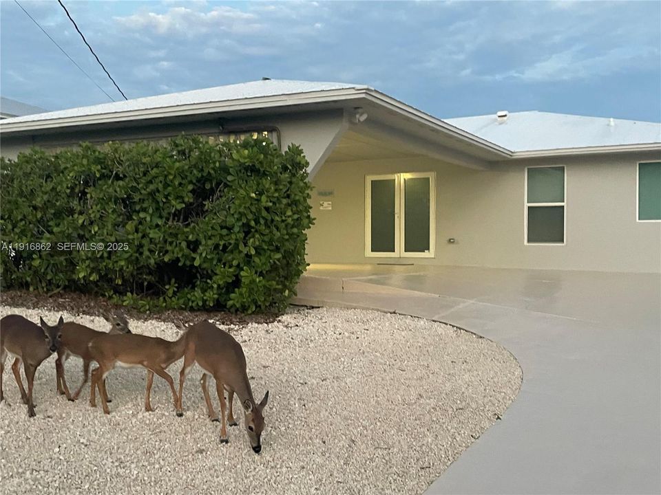 For Sale: $2,069,000 (3 beds, 2 baths, 1849 Square Feet)