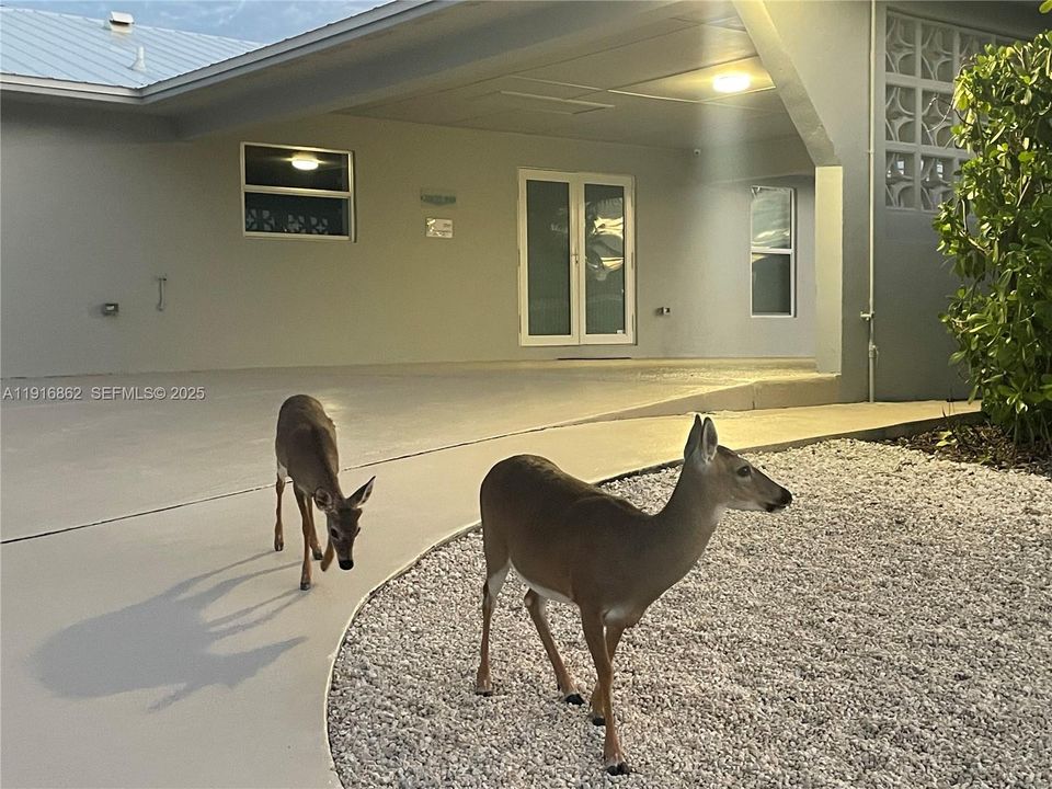 For Sale: $2,069,000 (3 beds, 2 baths, 1849 Square Feet)