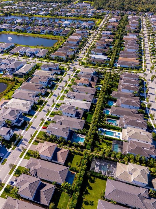 A view of the Artistry community